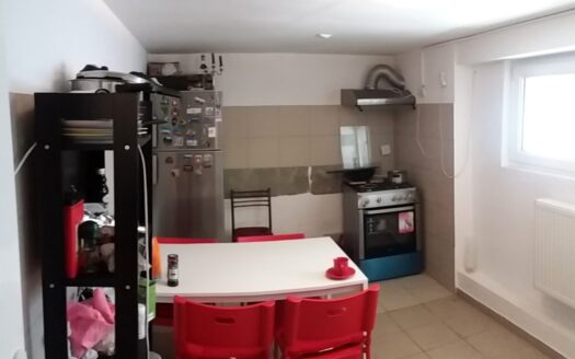 GM1072 Inchiriere vila D+P+1+M Decebal_Pta_Muncii, curte 100mp