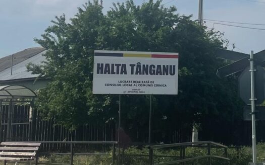 Vanzare teren intravilan Cernica_Tânganu, supraf. 21 660mp, parcelat