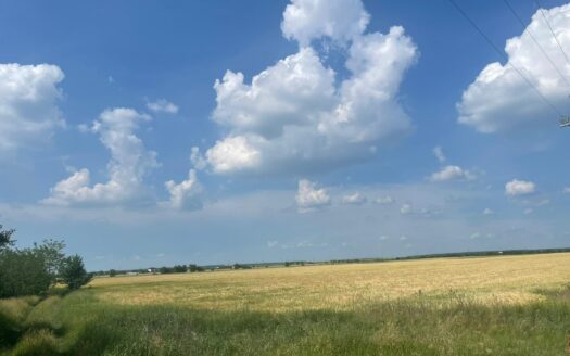 Vanzare teren intravilan Cernica_Tânganu, supraf. 21 660mp, parcelat