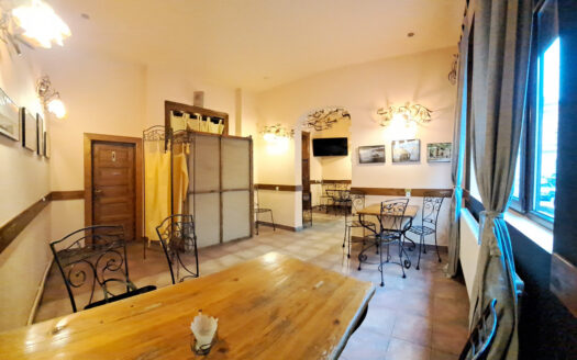 GM1526 Inchiriere casa P+M Universitate_Armeneasca, pretabila restaurant