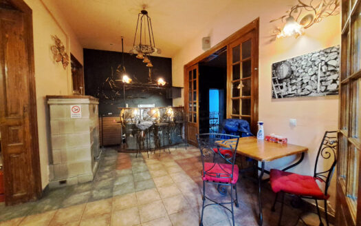 GM1526 Inchiriere casa P+M Universitate_Armeneasca, pretabila restaurant