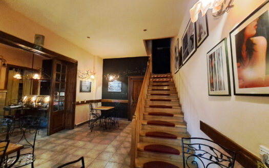 GM1526 Inchiriere casa P+M Universitate_Armeneasca, pretabila restaurant