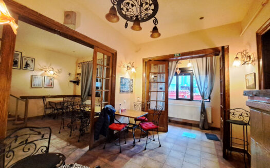 GM1526 Inchiriere casa P+M Universitate_Armeneasca, pretabila restaurant