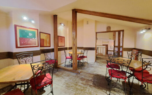 GM1526 Inchiriere casa P+M Universitate_Armeneasca, pretabila restaurant
