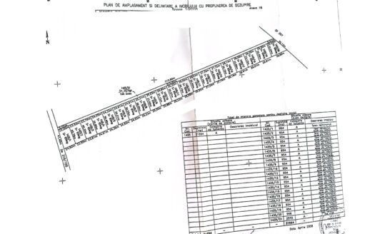 Vanzare teren intravilan Cernica_Tânganu, lot 954mp
