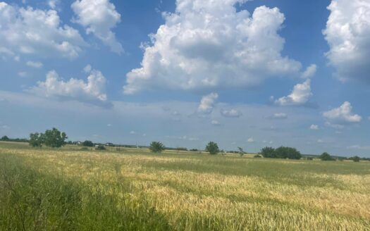 Vanzare teren intravilan Cernica_Tânganu, lot 954mp