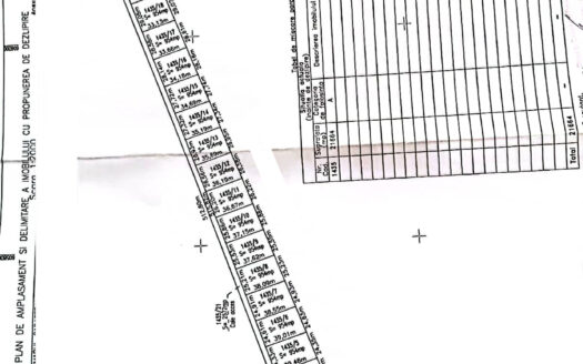 Vanzare teren intravilan Cernica_Tânganu, lot 954mp
