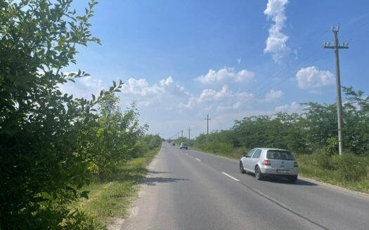 Vanzare teren intravilan Cernica_Tânganu, lot 954mp