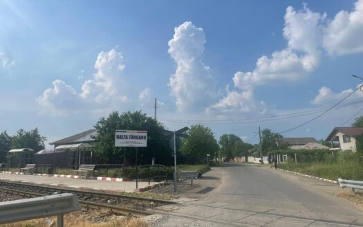 Vanzare teren intravilan Cernica_Tânganu, lot 954mp