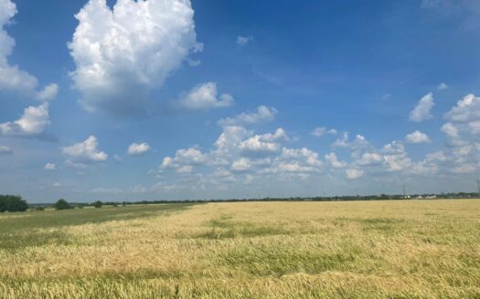 Vanzare teren intravilan Cernica_Tânganu, lot 954mp