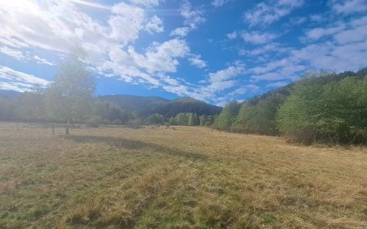 GM53438 Oportunitate investitie in Muntii Fagaras, teren 18000mp