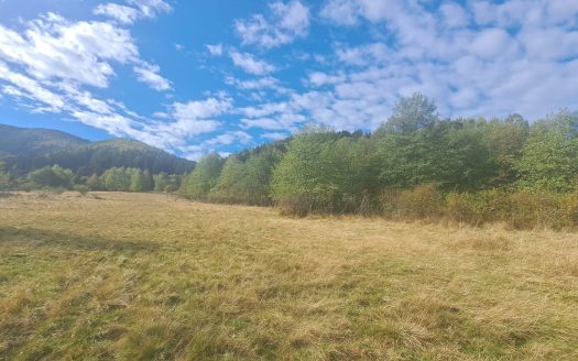 GM53438 Oportunitate investitie in Muntii Fagaras, teren 18000mp