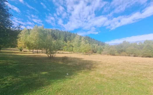 GM53438 Oportunitate investitie in Muntii Fagaras, teren 18000mp