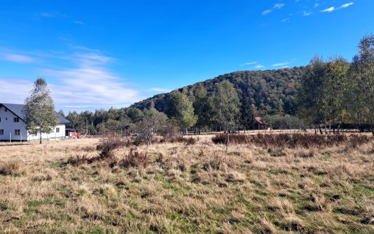 GM53438 Oportunitate investitie in Muntii Fagaras, teren 18000mp
