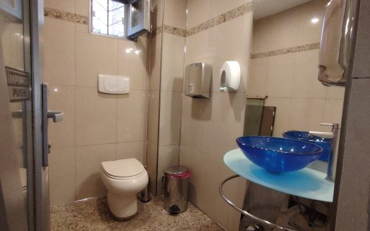 GM1742 P-ta Romană 120 mp Ideal pentru birouri, clinică, beauty
